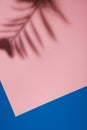 Abstract background of shadow of palm leaves on pink and blue paper backdrop. Creative summer minimal layout. Modern shade palm, g