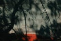 Abstract background, shadow of the tree branches on metallic surface