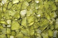 Abstract background of small pieces of broken glass in light green tone Royalty Free Stock Photo