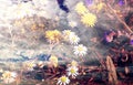 Abstract background. Wild growing dandelions and daises.