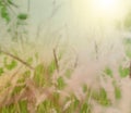 Abstract background of soft and blurred grassland, vintage warm toned Royalty Free Stock Photo