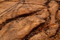 Abstract background of soil erosion