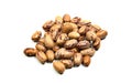 Spotty white-red haricot beans. Borlotti beans. Royalty Free Stock Photo