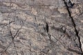 Abstract background, stone surface, texture of stone, moss, cracks, facets Royalty Free Stock Photo