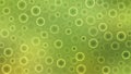 Vector Abstract Shining Bokeh and Bubbles Texture in Blurry Green Background Royalty Free Stock Photo