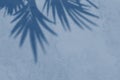 abstract background textuer of shadows tropic palm leaf on a concrete wall. Classic Blue color. Color of the year 2020 Royalty Free Stock Photo