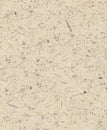 Abstract background. abstract texture. Aged paper of beige color. Royalty Free Stock Photo