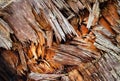 Broken and torn wood Royalty Free Stock Photo
