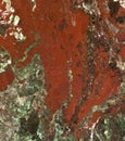 Burgundy green red and white blended marble texture