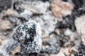 Abstract background texture of burnt ash. Coals in an extinct fire. Royalty Free Stock Photo