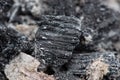 Abstract background texture of burnt ash. Coals in an extinct fire. Royalty Free Stock Photo