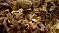 Abstract background, texture of dried flowers. potpourri . close-up. dried flowers and seeds used for aromatherapy.