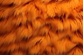 abstract background texture of fluffy fur of bright orange color Royalty Free Stock Photo