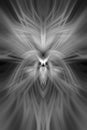 Abstract Background Texture on grey tone color