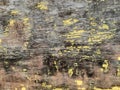 Abstract background or texture from old wooden boards.