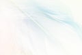 Pastel colored blue fluffy feathers of bird for background Royalty Free Stock Photo