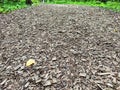 Abstract background and texture of sawdust and pieces of wood. Texture, pattern, frame, copy space. Brown or grey mulch