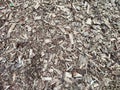 Abstract background and texture of sawdust and pieces of wood. Texture, pattern, frame, copy space. Brown or grey mulch