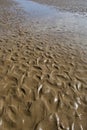 Abstract Background Texture of Wet Sand Royalty Free Stock Photo