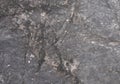 Abstract background and textures of dark gray stone Royalty Free Stock Photo