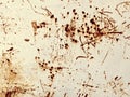 Abstract background textures of grunge rusty wall surface of old metal and beautiful and unique surface textures Royalty Free Stock Photo