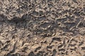 Abstract background. Tire tracks in the mud