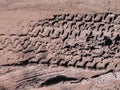 Abstract background. Traces of tires from a car or truck in the mud Royalty Free Stock Photo