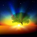 Abstract background with tree sunrise and stars