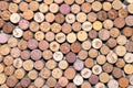 Abstract background of used wine corks with corkscrew marks on corks and calendar dates on some corks Royalty Free Stock Photo