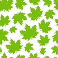 Abstract background from a variety of bright maple leaves on a white background. Seamless pattern. Royalty Free Stock Photo