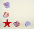 Abstract background of various shells