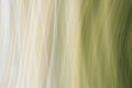 Abstract background of vertical curved stripes in olive green shades