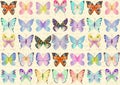 Abstract Background In Vintage Style With Old Paper And Watercolor Butterflies