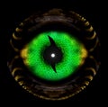 Abstract Background or Wallpaper: Green Dragon`s Eye