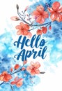 Abstract background with watercolor colorful splashes and flowers. Hello April modern calligraphy lettering. Spring concept Royalty Free Stock Photo