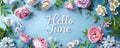 Abstract background with watercolor colorful splashes and flowers. Hello June - modern calligraphy lettering. Summer concept