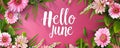 Abstract background with watercolor colorful splashes and flowers. Hello June - modern calligraphy lettering. Summer concept