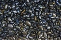 Abstract background from wet black pebbles pattern decoration in Royalty Free Stock Photo