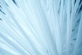 Abstract background of white plastic threads
