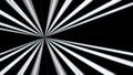 Abstract background of white rays. Striped moving background of black and white stripes emerging from one point like