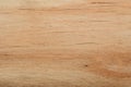 Abstract background- wood texture