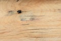 Abstract background- wood texture