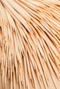 Wooden toothpicks close-up Royalty Free Stock Photo