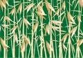 Abstract bamboo background