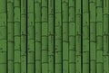 Abstract bamboo background