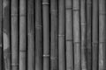 Abstract bamboo wall texture