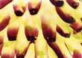 Abstract bananas