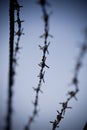Abstract barbed wire