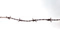 Abstract barbed wire Royalty Free Stock Photo