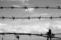 Abstract barbed wire Royalty Free Stock Photo